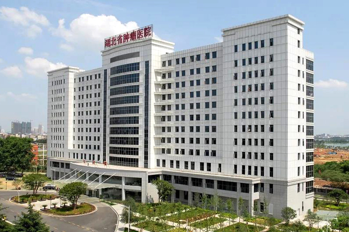 2024新澳门历史记录查询