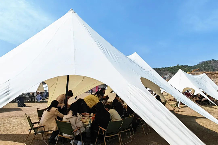 2024新澳门历史记录查询